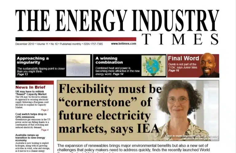 The Energy Industry Times: Lemene CHP – a winning combination